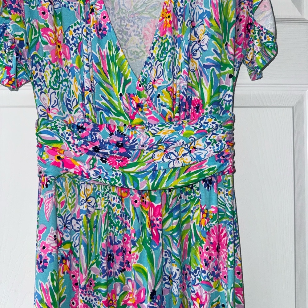 Lilly Pulitzer Maxi Dress! - Picture 6 of 8